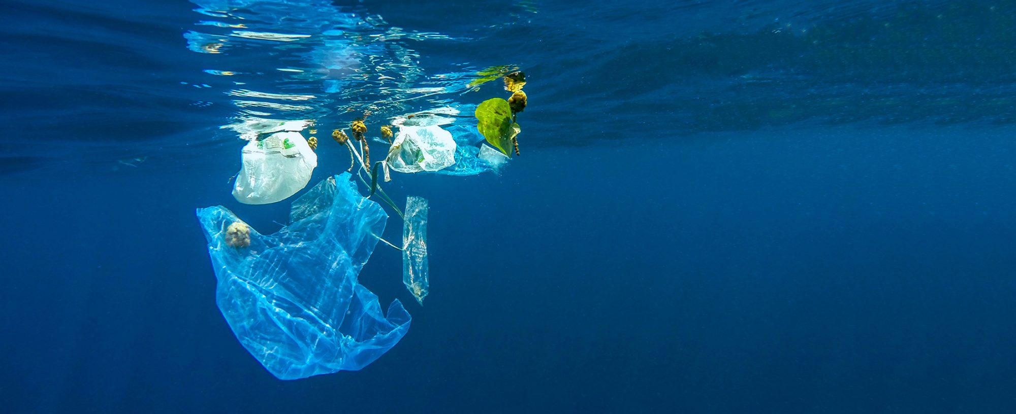 Ålandsbanken Östersjöprojektet Plast I Havet